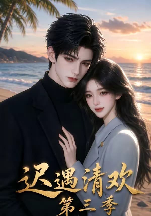 迟遇清欢第三季-剧集封面