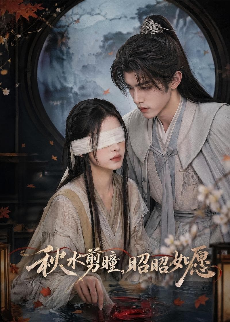 秋水剪瞳，昭昭如愿-剧集封面