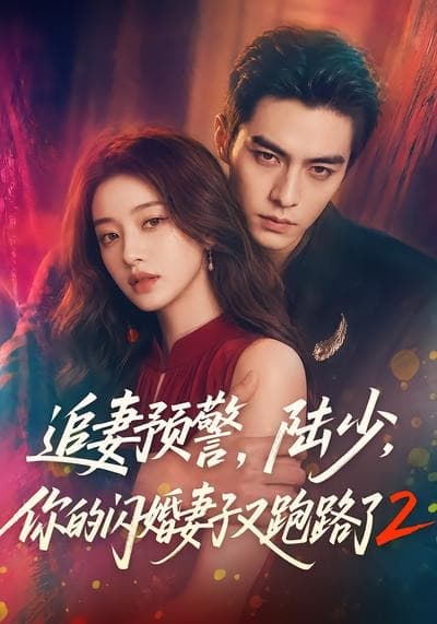 追妻预警，陆少，你的闪婚妻子又跑路了2-剧集封面