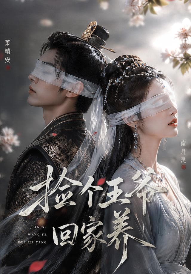 捡个王爷回家养-剧集封面