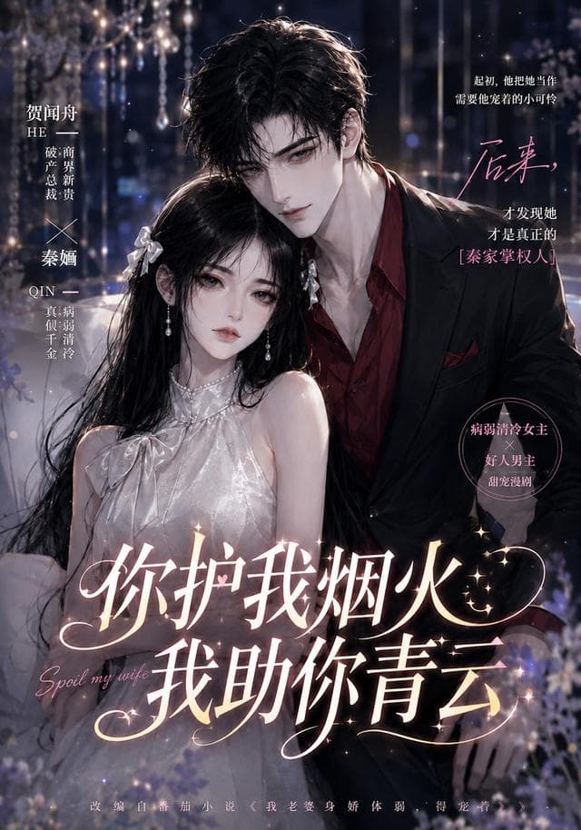 你护我烟火，我助你青云-剧集封面
