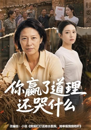 你赢了道理还哭什么-剧集封面
