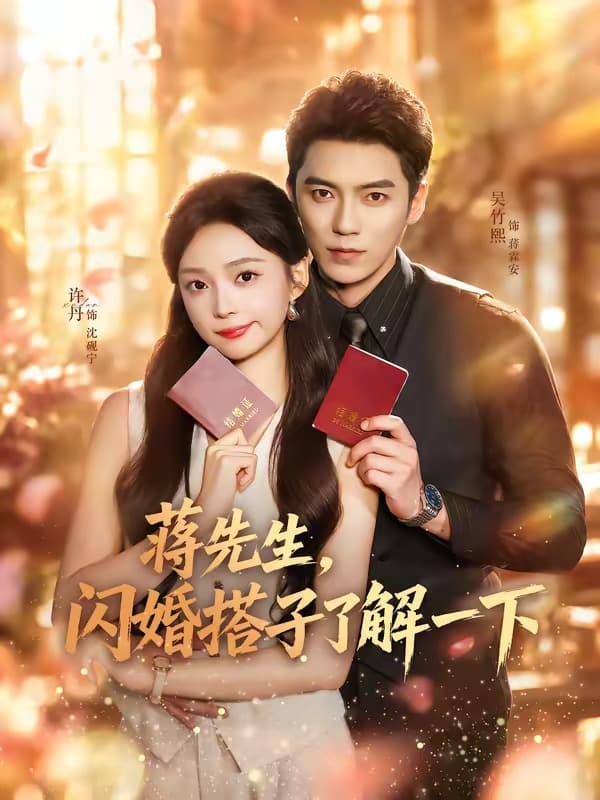 蒋先生，闪婚搭子了解一下-短剧封面