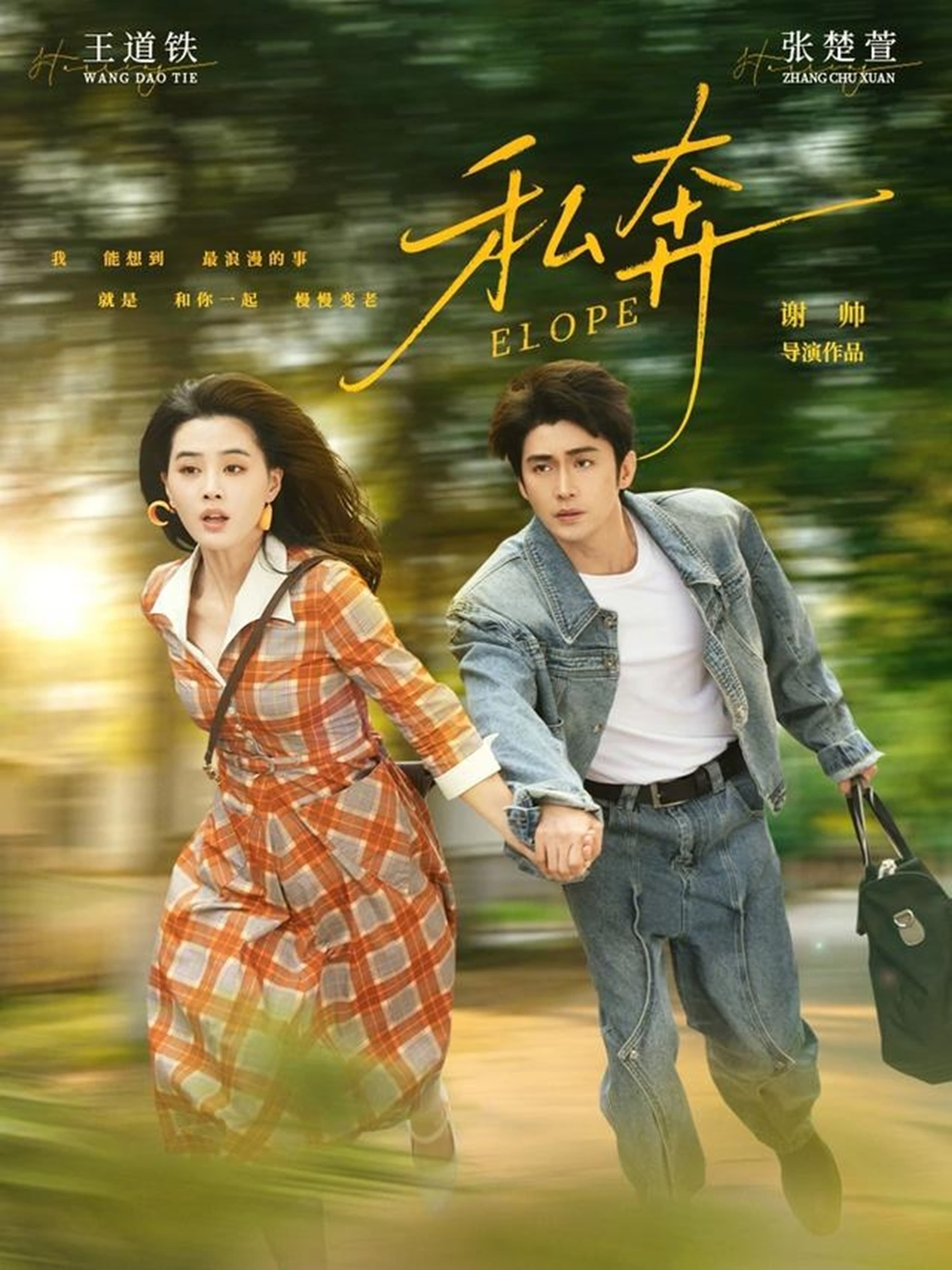 私奔-短剧封面