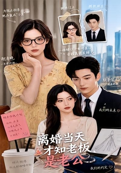 离婚当天才知老板是老公-剧集封面