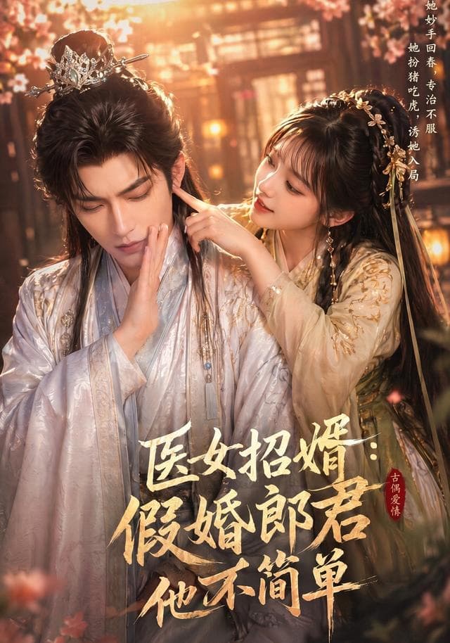 医女招婿：假婚郎君他不简单-剧集封面