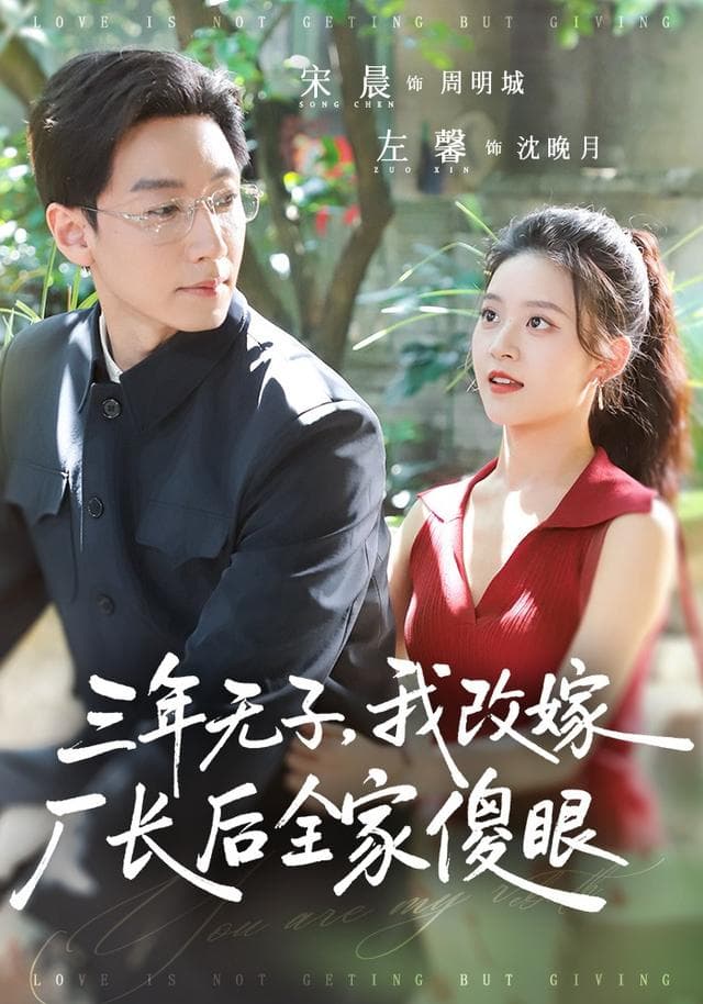 三年无子，我改嫁厂长后全家傻眼了-短剧封面