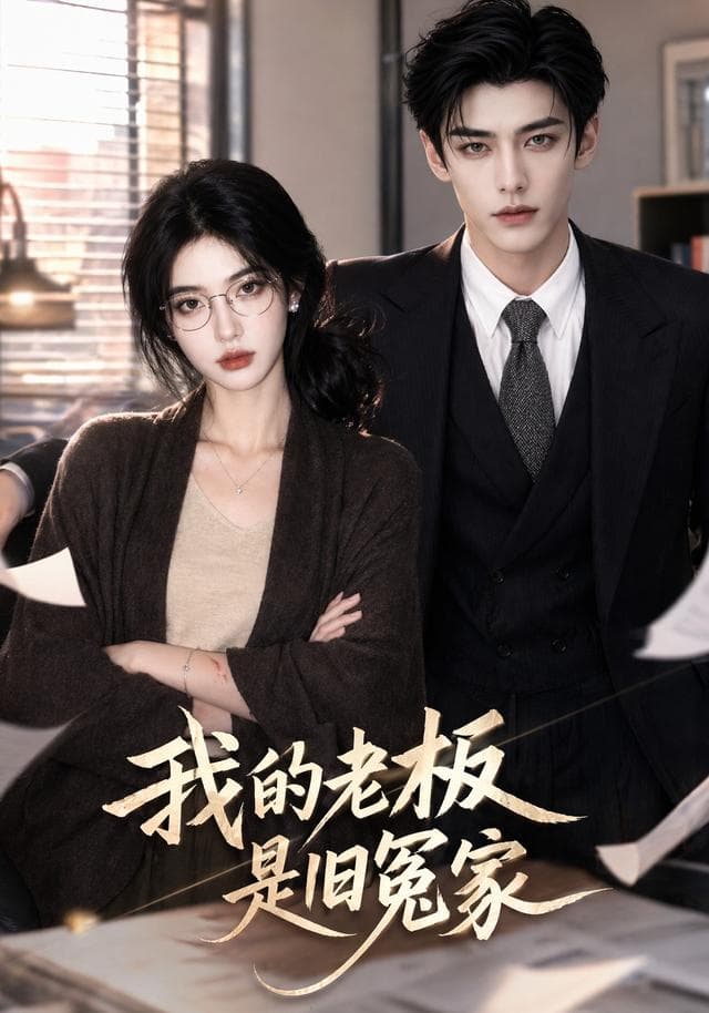 我的老板是旧冤家-剧集封面
