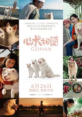 心犬相随-电影封面