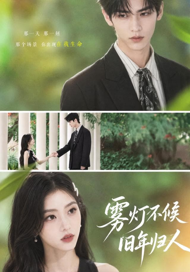 雾灯不候旧年归人-剧集封面