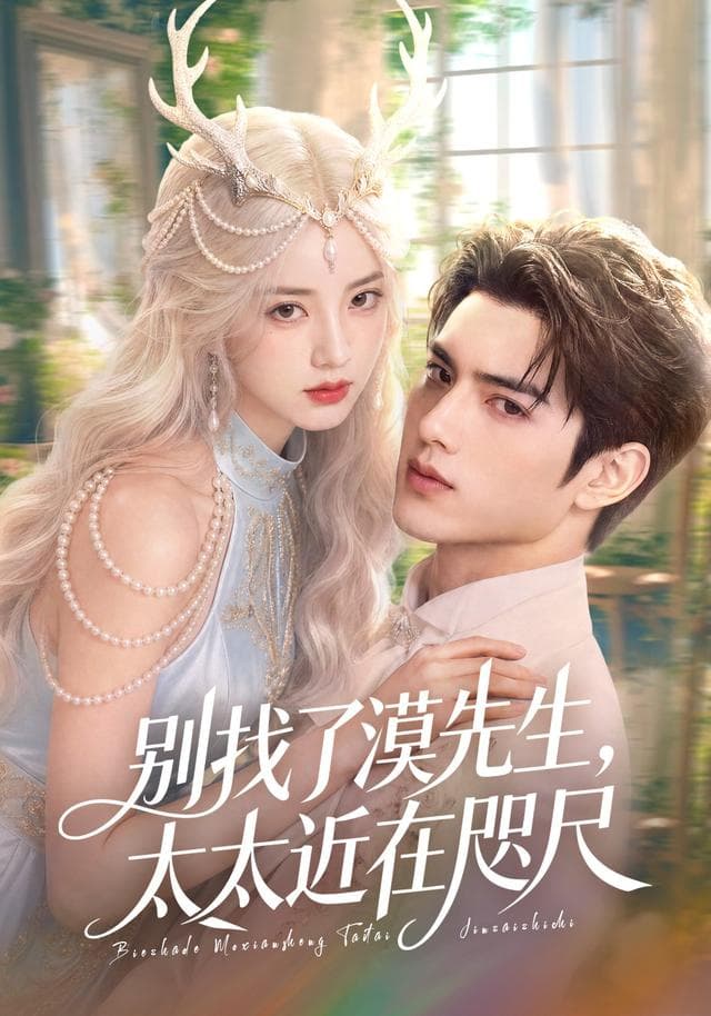 别找了漠先生，太太近在咫尺-剧集封面