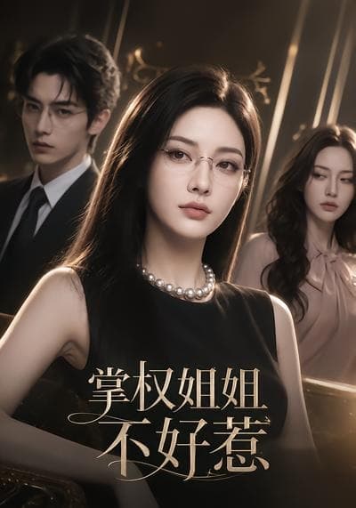 掌权姐姐不好惹-剧集封面