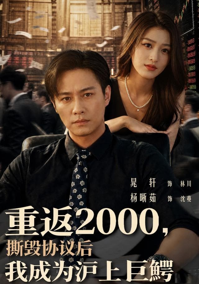 重返2000，撕毁协议后我成为沪上巨鳄-影视封面