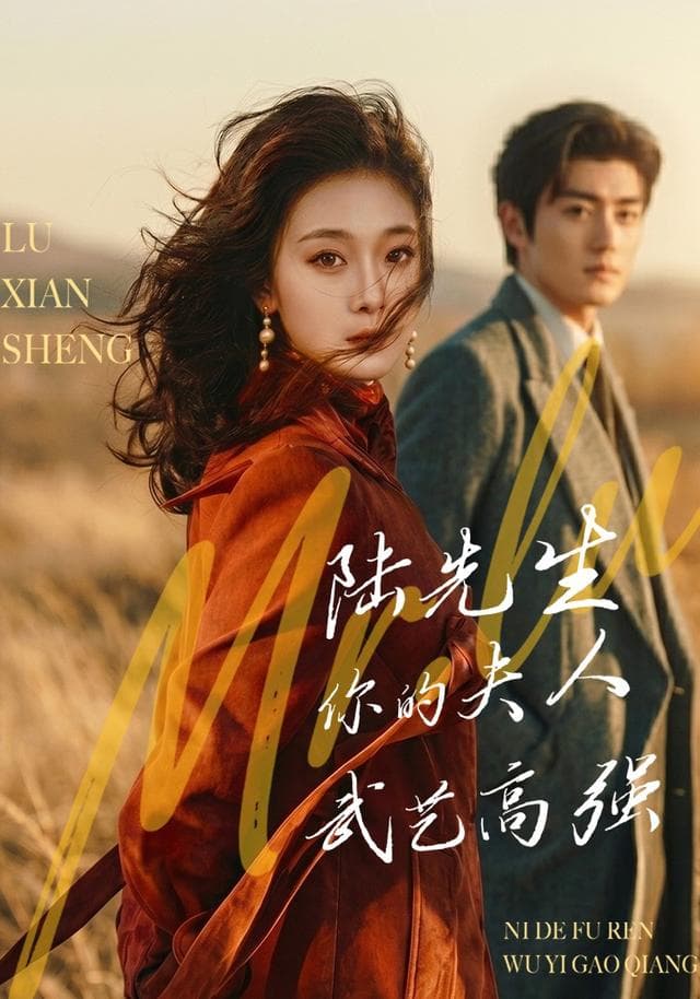 陆先生，你的夫人武艺高强-短剧封面