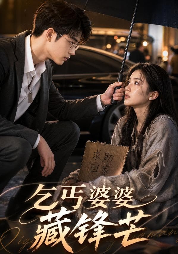 乞丐婆婆藏锋芒-剧集封面