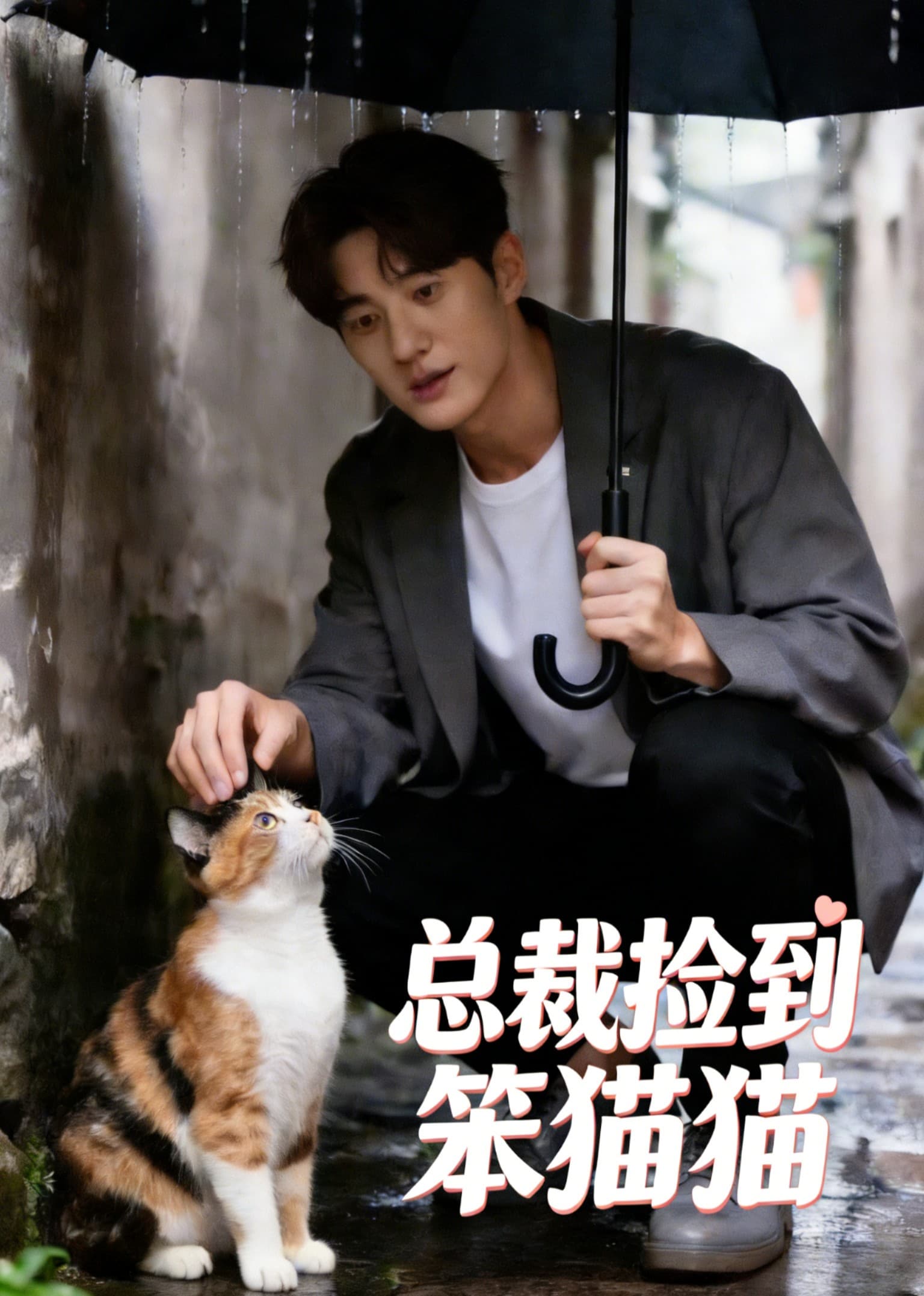 总裁捡到笨猫猫-剧集封面