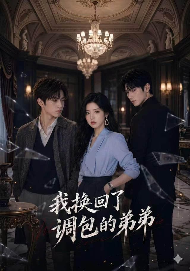 我换回了调包的弟弟-剧集封面
