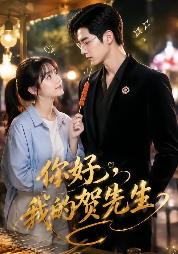 你好，我的贺先生-剧集封面