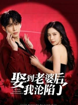 娶到老婆后我沦陷了-剧集封面