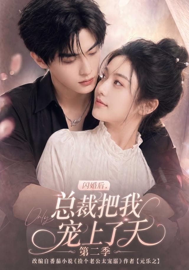 闪婚后，总裁把我宠上了天第二季-剧集封面