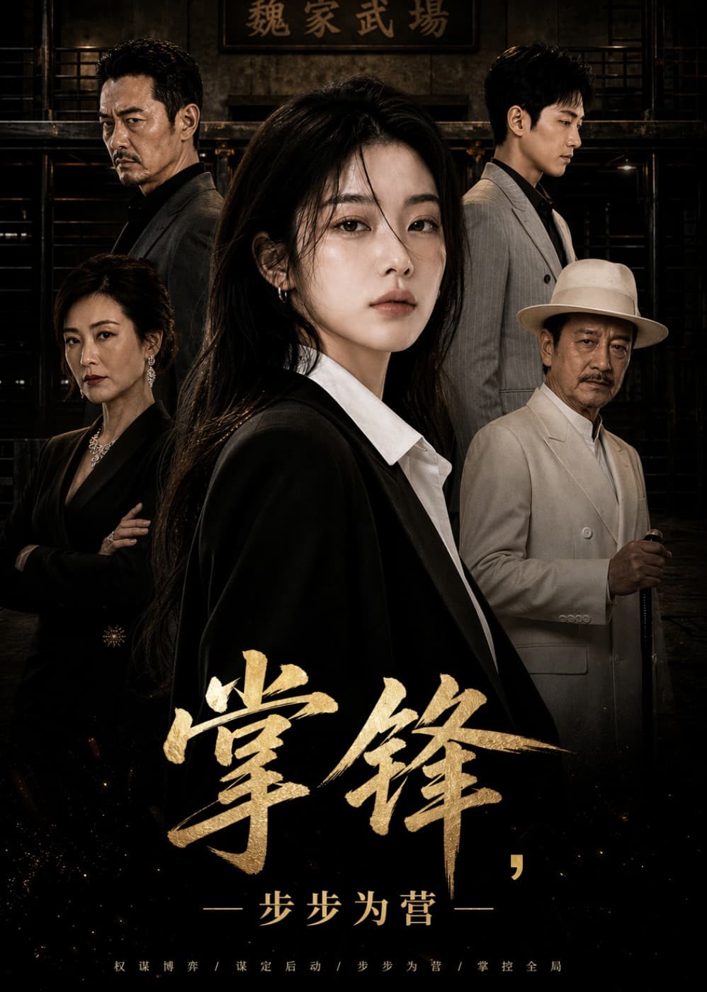 掌锋，步步为营-剧集封面
