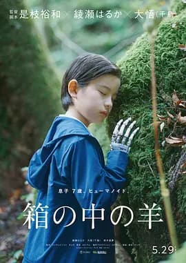 盒子里的羊-电影封面