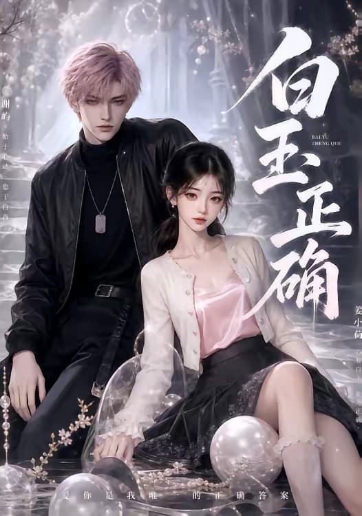 白玉正确-剧集封面