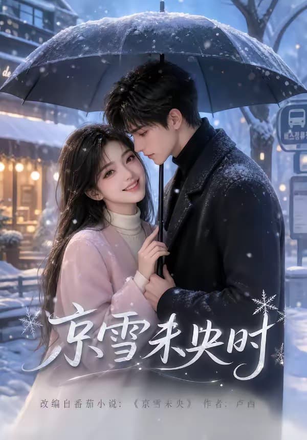 京雪未央时-剧集封面