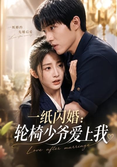 一纸闪婚：轮椅少爷爱上我-剧集封面