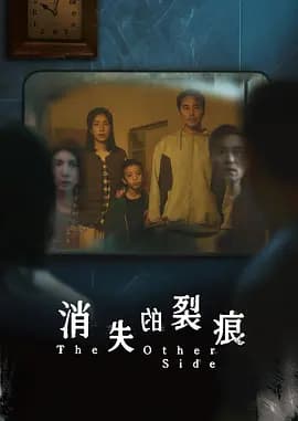 消失的裂痕-剧集封面