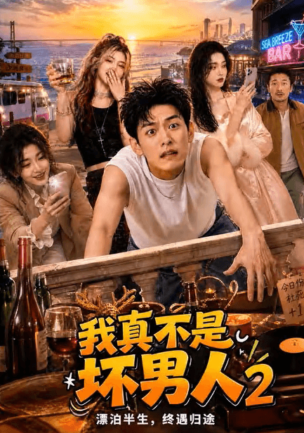 我真不是坏男人2-剧集封面