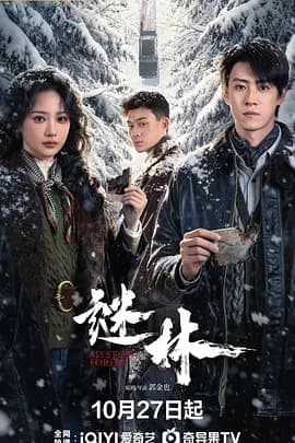 谜林-剧集封面