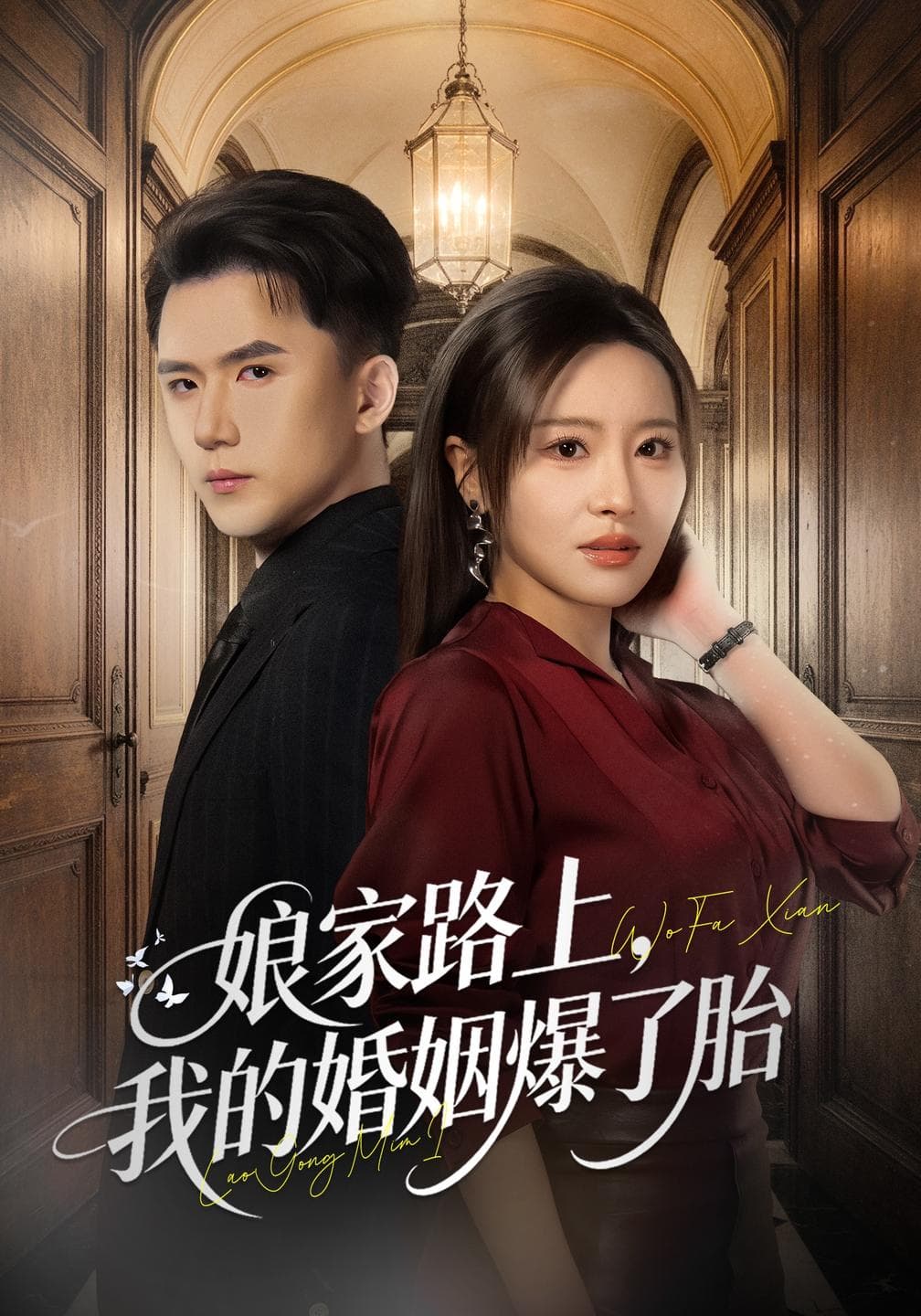 娘家路上,我的婚姻爆了胎-影视封面