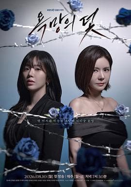 欲望的陷阱2026-剧集封面