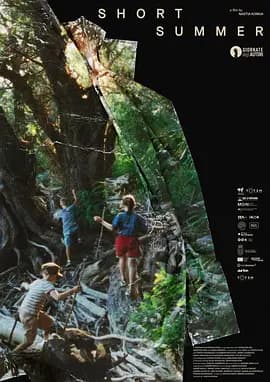 短暂的夏天-电影封面